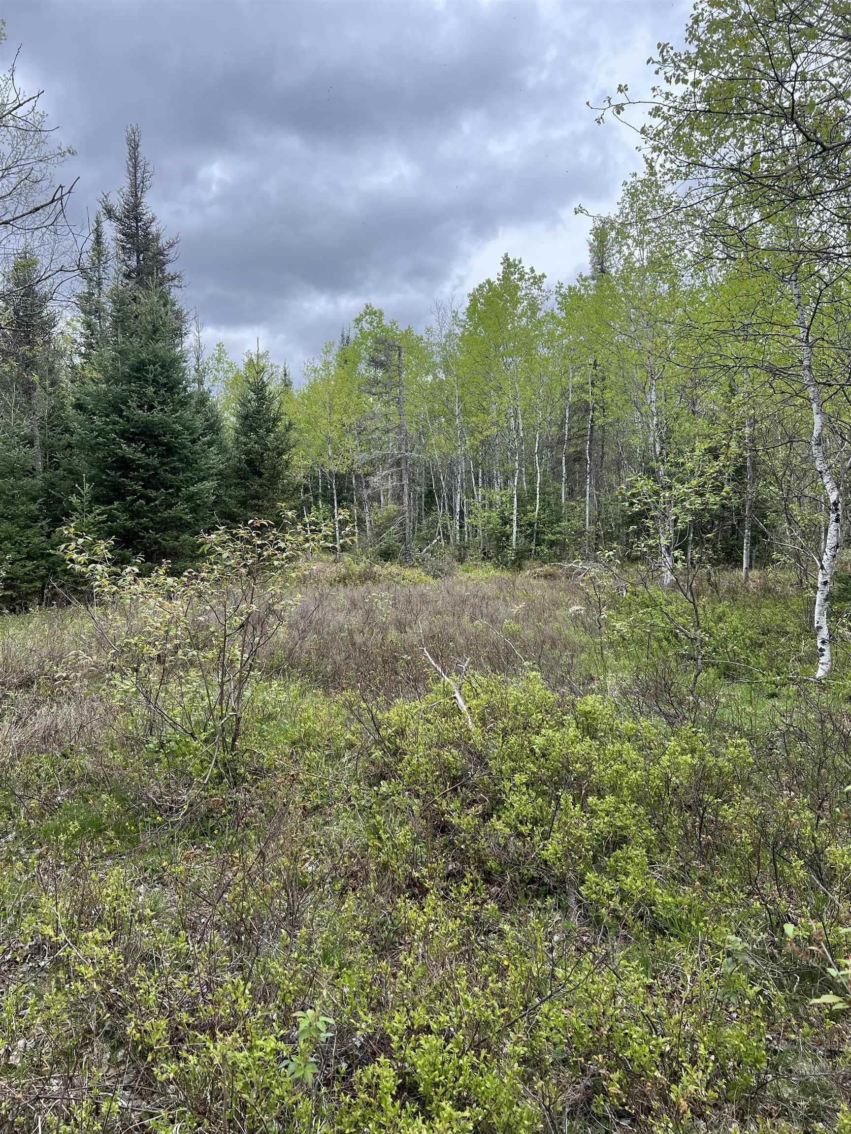 0 County Road Ishpeming, MI 49849 - Photo 11 of 85
