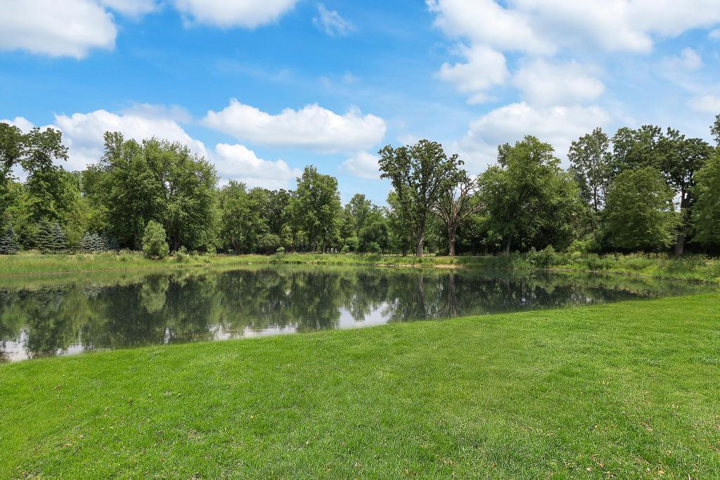 385 Spring Creek Road Barrington Hills, IL 60010 - Photo 48 of 53