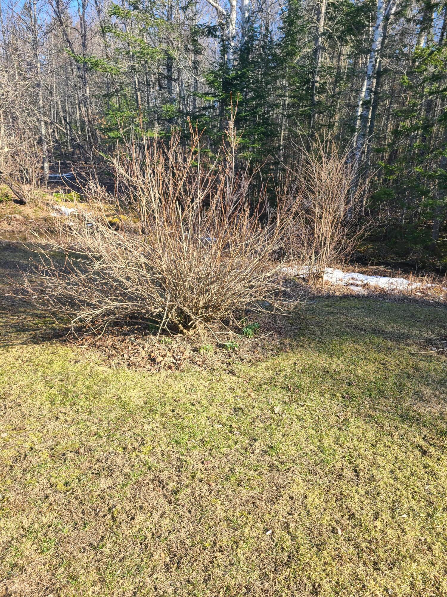 633 Kennebec Road Hampden, ME 04444 - Photo 21 of 54 20230413_164214