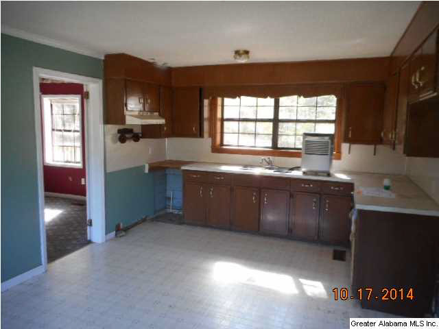 48579 Highway 231 Oneonta, AL 35121 - Photo 4 of 10