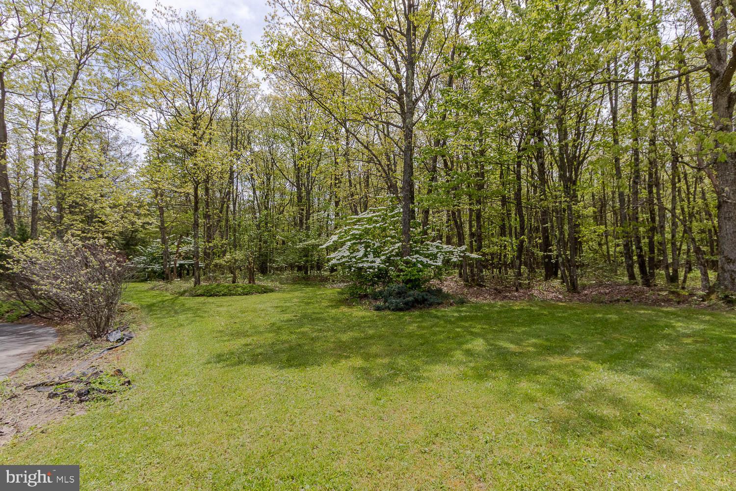 7869 Drane Highway West Decatur, PA 16878 - Photo 56 of 66 a view of yard with green space