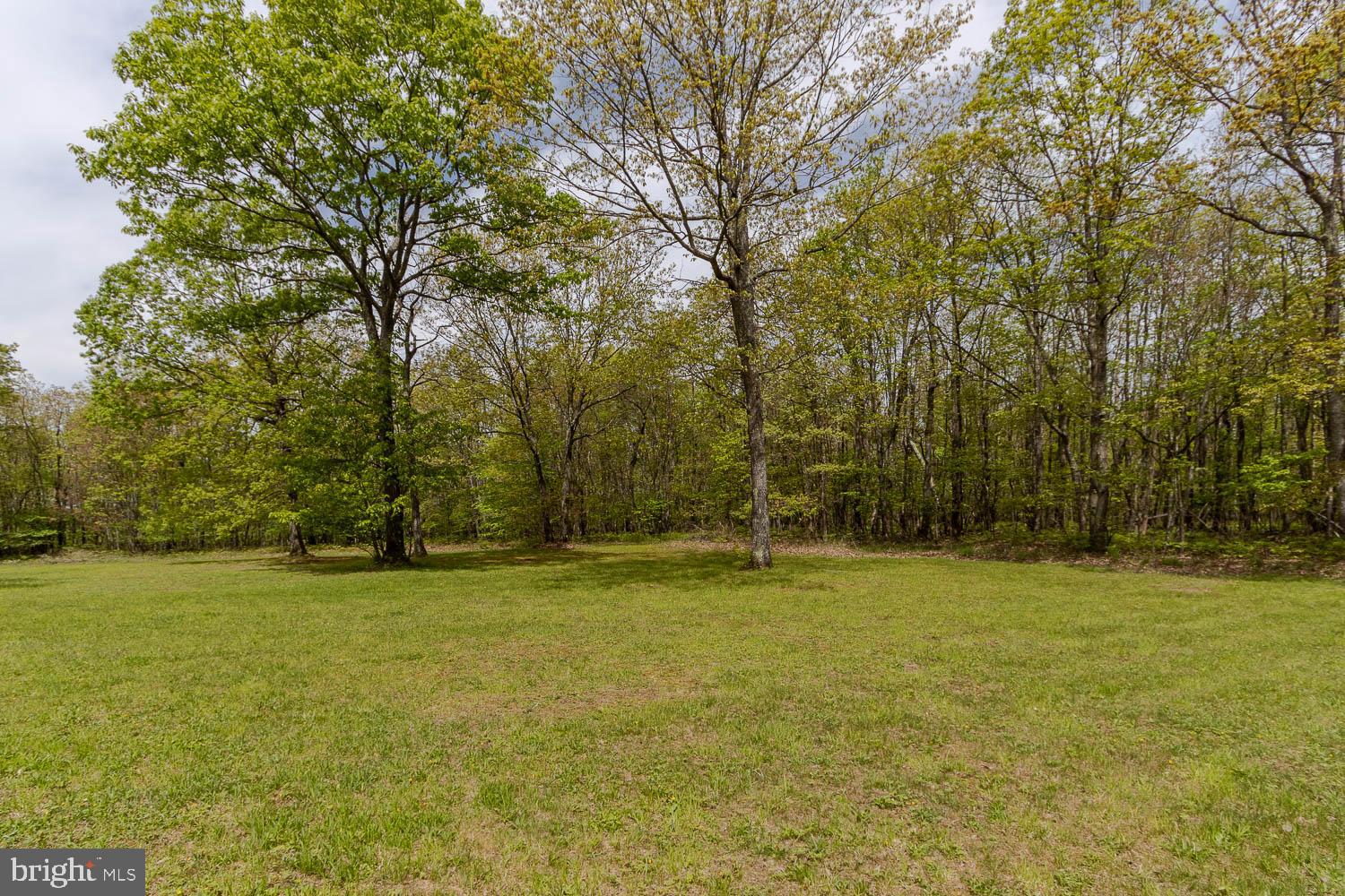 7869 Drane Highway West Decatur, PA 16878 - Photo 62 of 66 a view of a green field with trees in the background