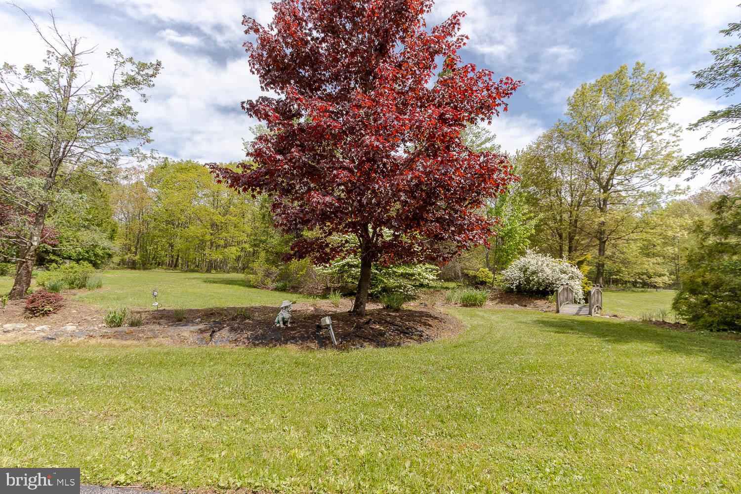 7869 Drane Highway West Decatur, PA 16878 - Photo 65 of 66 a view of a yard with an outdoor space