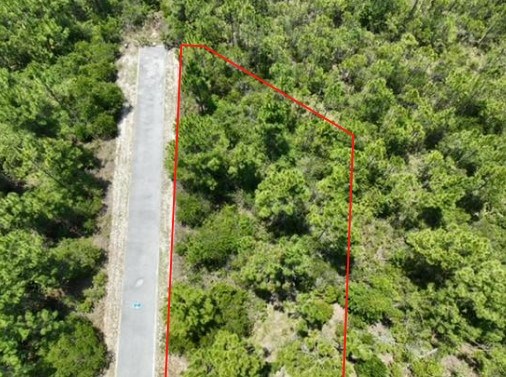 0 Shallow Reed Dr Port Street Port St. Joe, FL 32456 - Photo 11 of 11