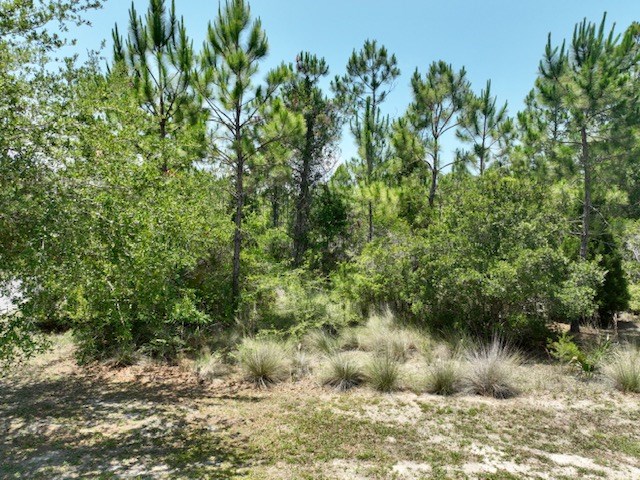 0 Shallow Reed Dr Port Street Port St. Joe, FL 32456 - Photo 3 of 11