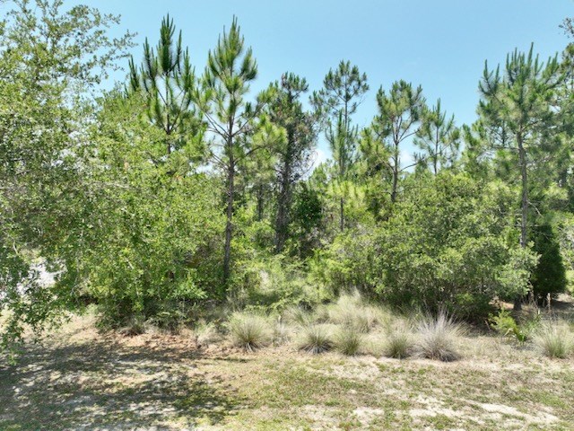 0 Shallow Reed Dr Port Street Port St. Joe, FL 32456 - Photo 4 of 11