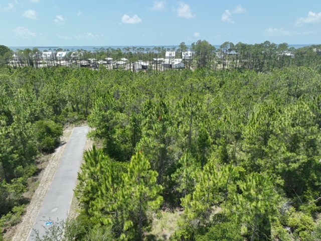 0 Shallow Reed Dr Port Street Port St. Joe, FL 32456 - Photo 5 of 11