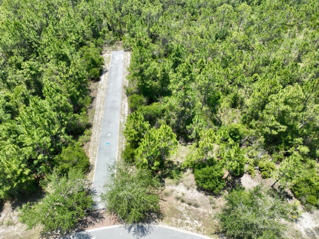 0 Shallow Reed Dr Port Street Port St. Joe, FL 32456 - Photo 6 of 11