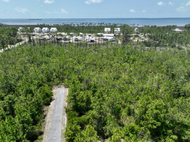 0 Shallow Reed Dr Port Street Port St. Joe, FL 32456 - Photo 7 of 11