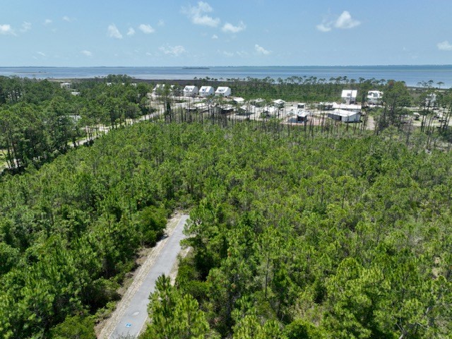 0 Shallow Reed Dr Port Street Port St. Joe, FL 32456 - Photo 8 of 11
