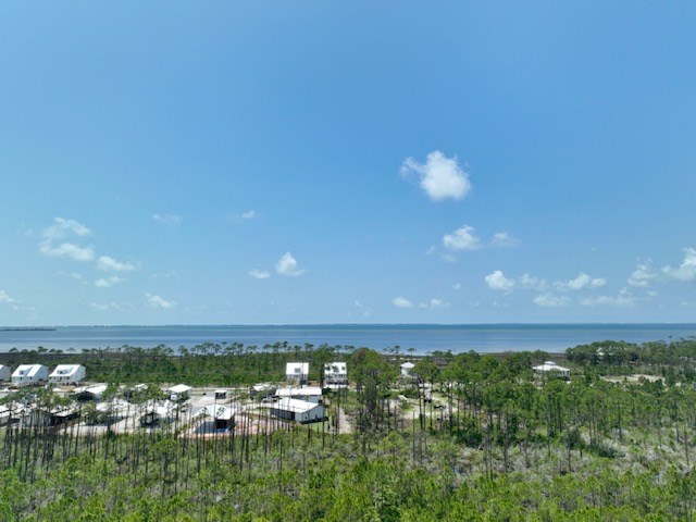 0 Shallow Reed Dr Port Street Port St. Joe, FL 32456 - Photo 9 of 11