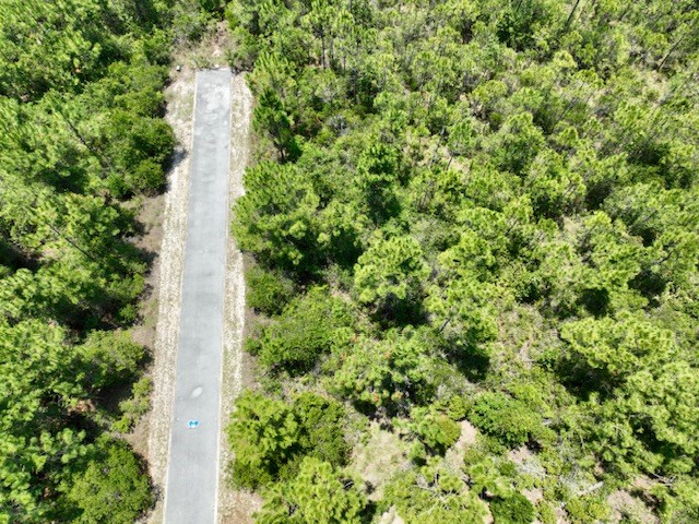 0 Shallow Reed Dr Port Street Port St. Joe, FL 32456 - Photo 10 of 11