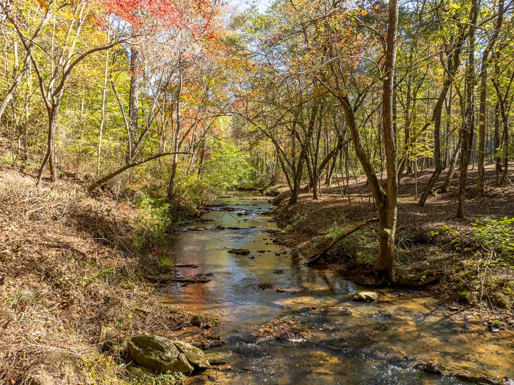 158 Treeline Lane Ellijay, GA 30540 - Photo 7 of 95 a backyard of a house with lots of green space