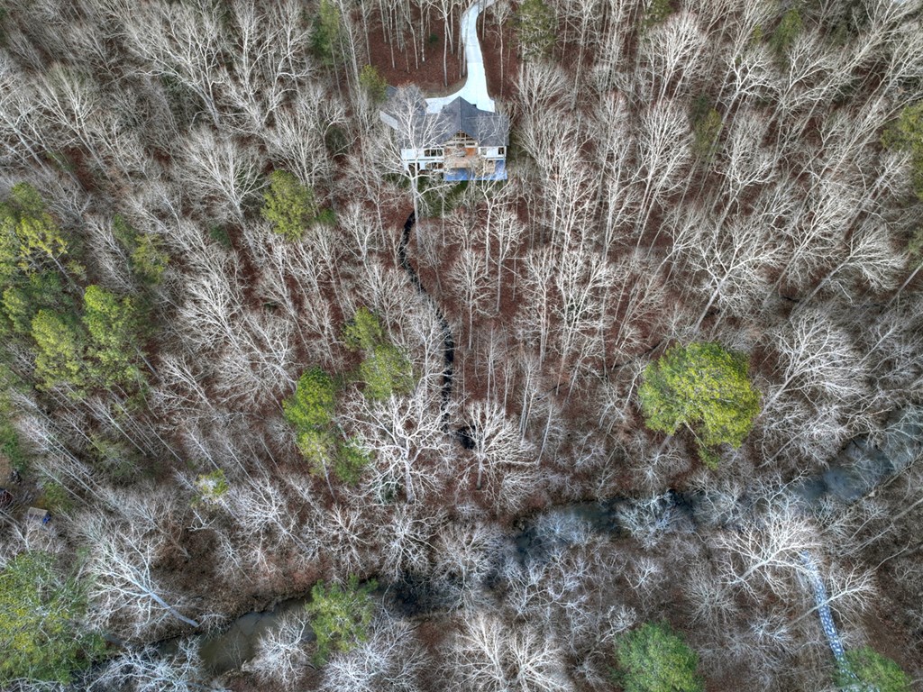 158 Treeline Lane Ellijay, GA 30540 - Photo 79 of 95 a backyard of a house with lots of green space