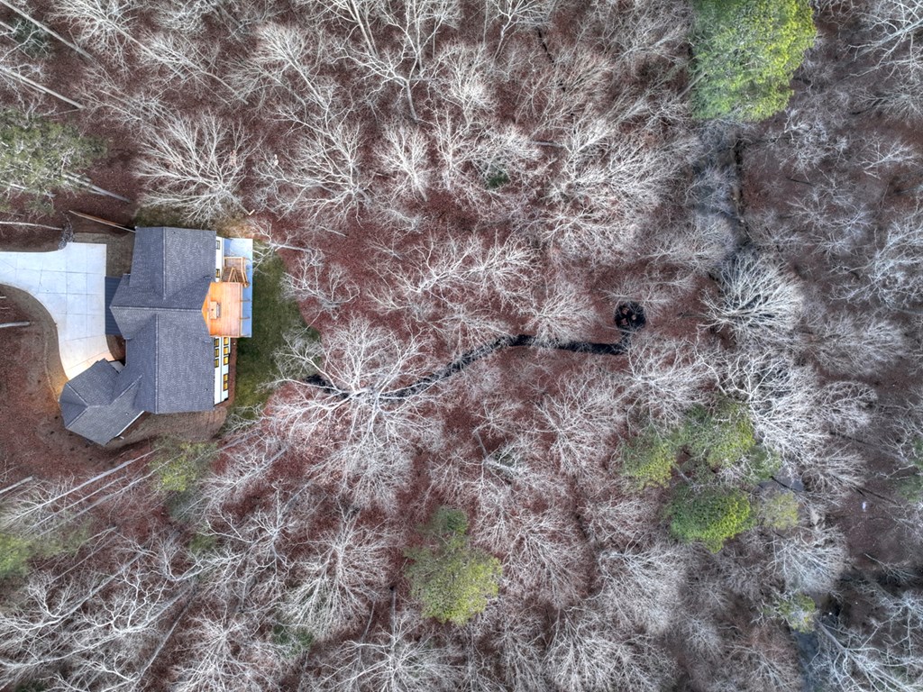 158 Treeline Lane Ellijay, GA 30540 - Photo 80 of 95 a backyard of a house with lots of green space