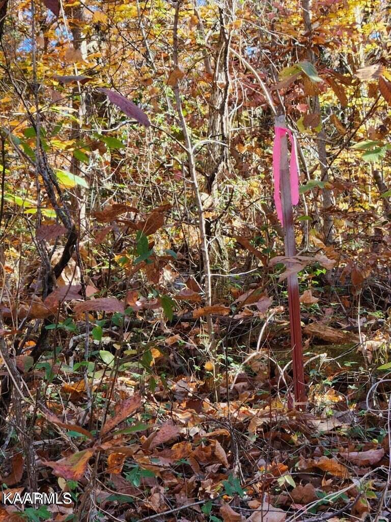 Lot 6 Fancher Road Road Newport, TN 37821 - Photo 3 of 4 5