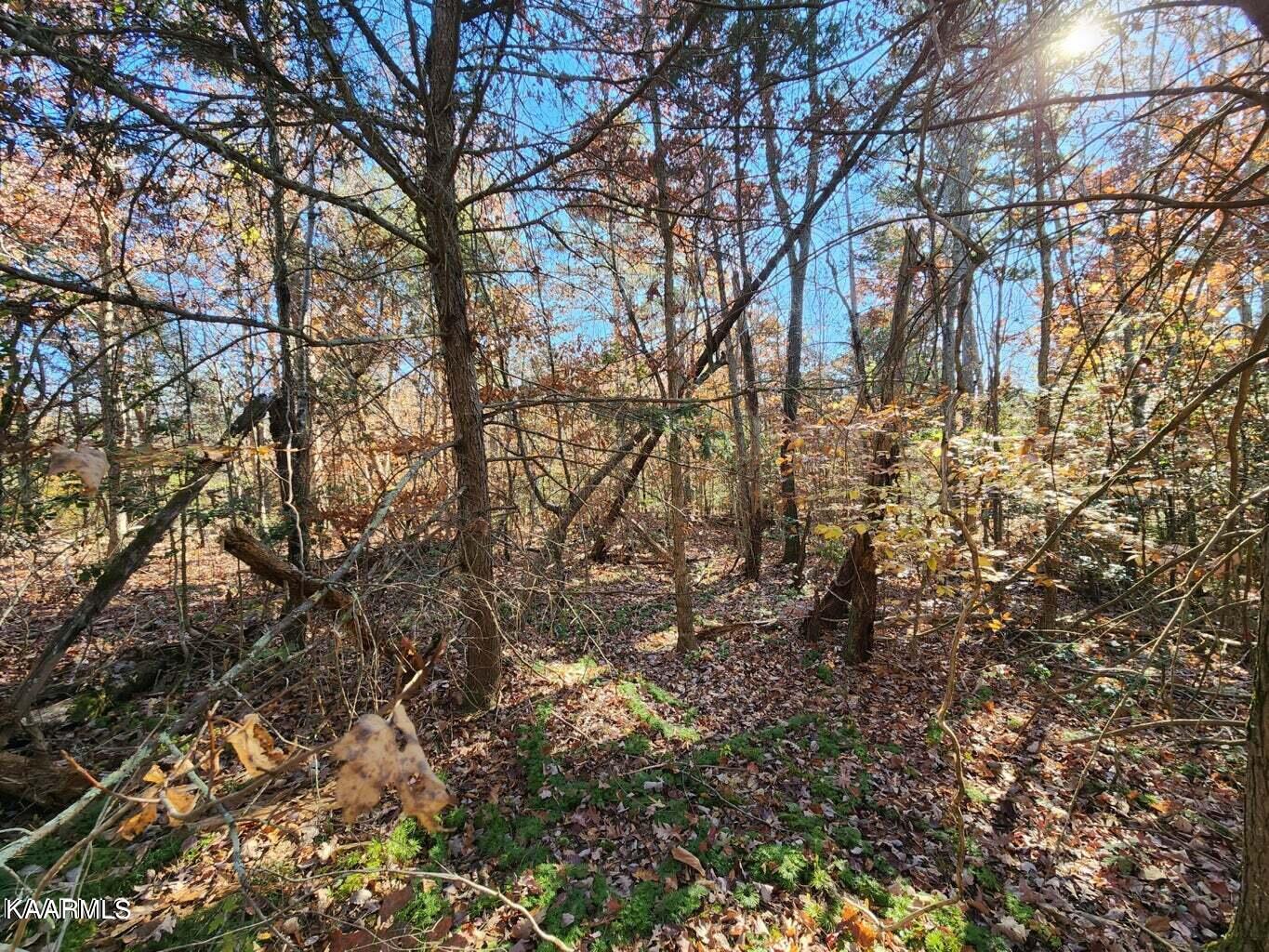 Lot 6 Fancher Road Road Newport, TN 37821 - Photo 4 of 4 3