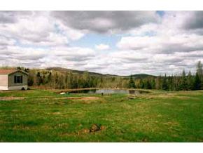 0 Rte 145 Stewartstown, NH 03597 - Photo 1 of 1 Gallery Image 1