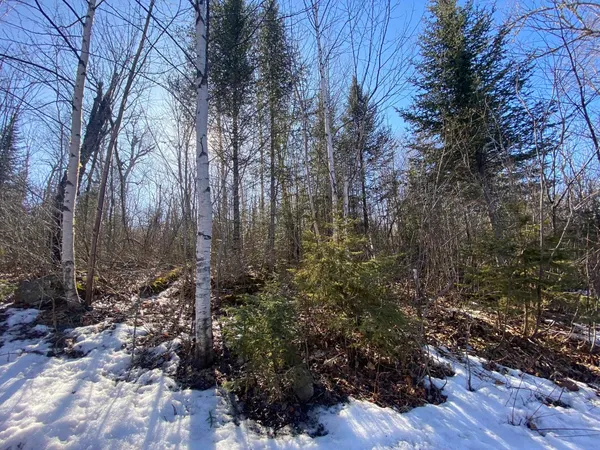 $58,000 | Xxd Xxd Pine, Lutsen, MN 55612