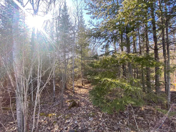$58,000 | Xxd Xxd Pine, Lutsen, MN 55612