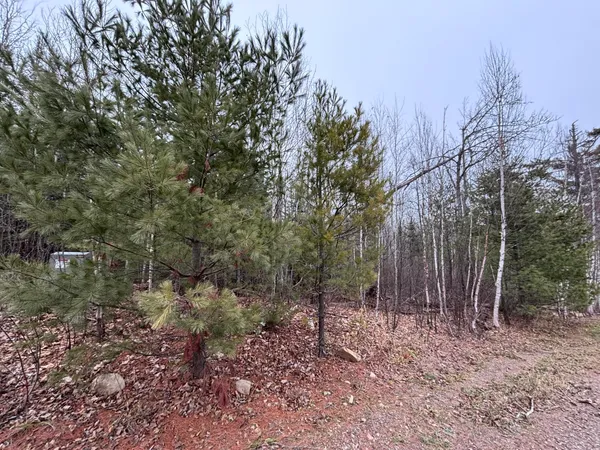 $58,000 | Xxd Xxd Pine, Lutsen, MN 55612