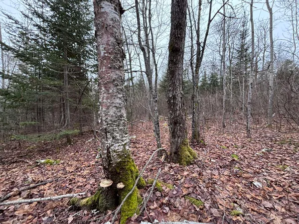 $58,000 | Xxd Xxd Pine, Lutsen, MN 55612