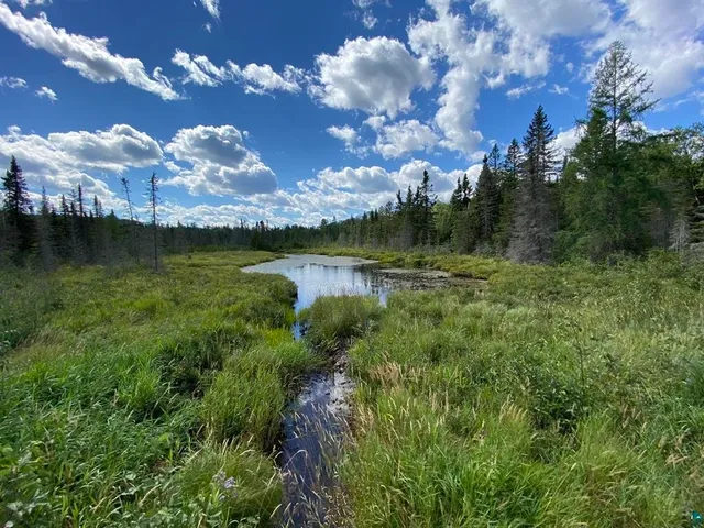 $58,000 | Xxd Xxd Pine, Lutsen, MN 55612