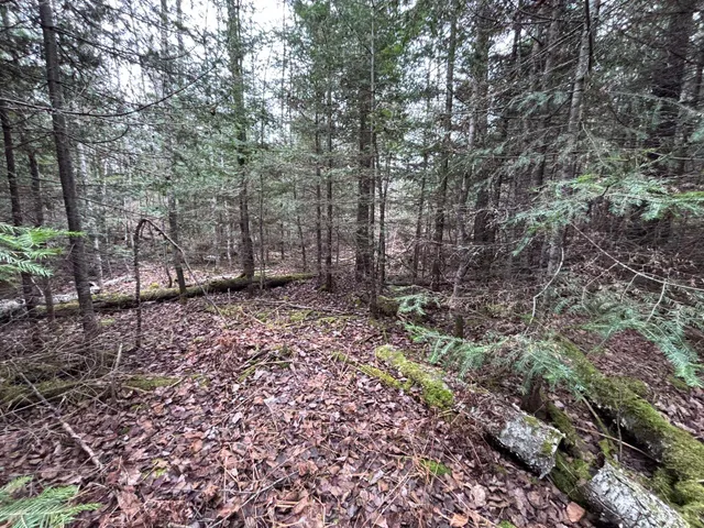 $58,000 | Xxd Xxd Pine, Lutsen, MN 55612