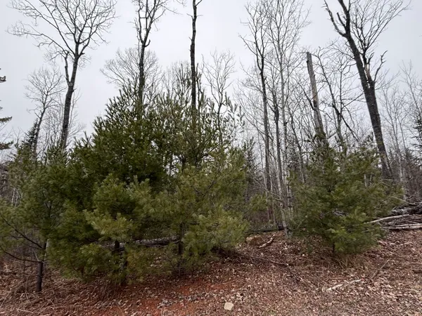 $58,000 | Xxd Xxd Pine, Lutsen, MN 55612