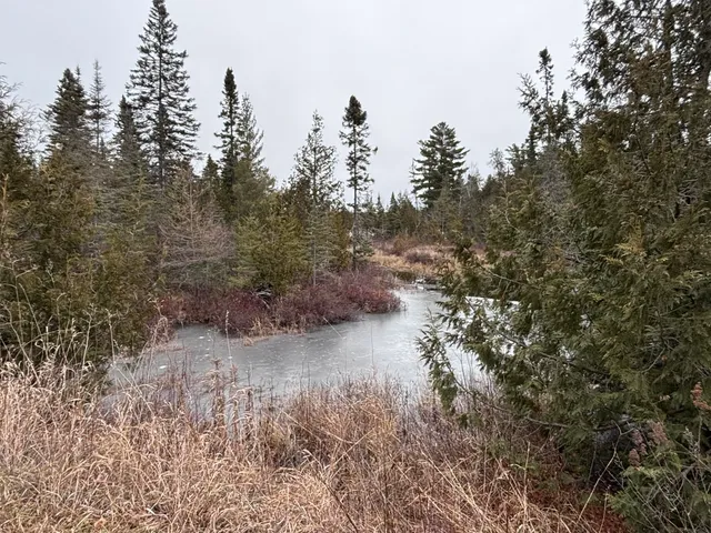 $58,000 | Xxd Xxd Pine, Lutsen, MN 55612