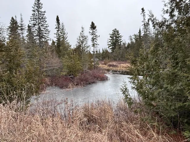 $58,000 | Xxd Xxd Pine, Lutsen, MN 55612