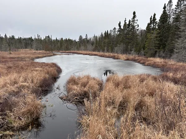 $58,000 | Xxd Xxd Pine, Lutsen, MN 55612