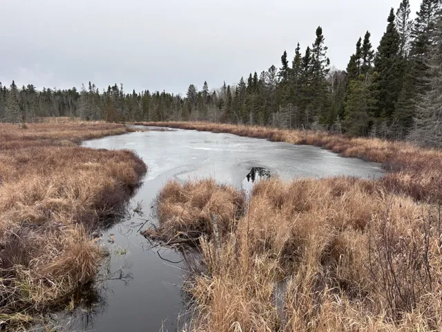 $58,000 | Xxd Xxd Pine, Lutsen, MN 55612