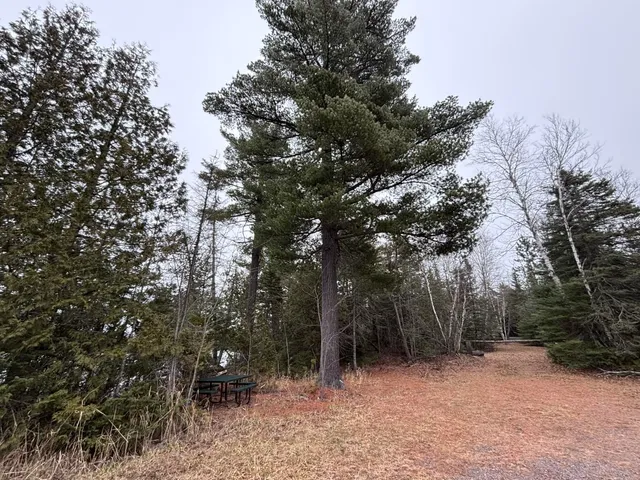 $58,000 | Xxd Xxd Pine, Lutsen, MN 55612