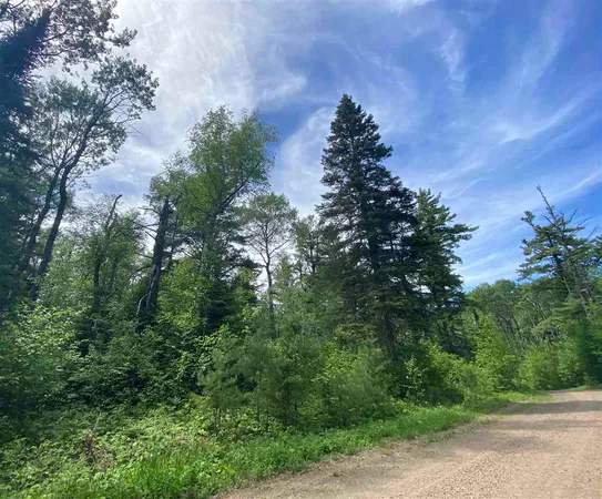 $58,000 | Xxd Xxd Pine, Lutsen, MN 55612
