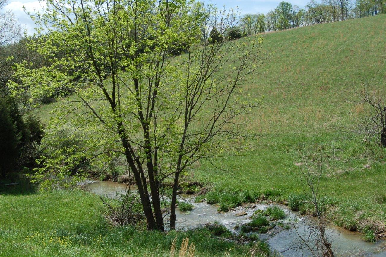 3701 Frontage Road Buchanan, VA 24066 - Photo 8 of 10 DSC_0551