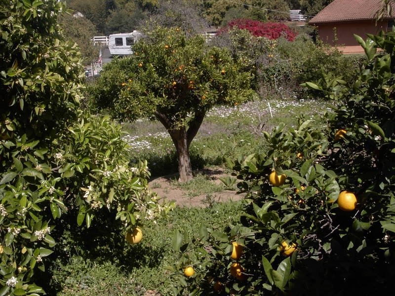 2023 East Mission Road Fallbrook, CA 92028 - Photo 11 of 14
