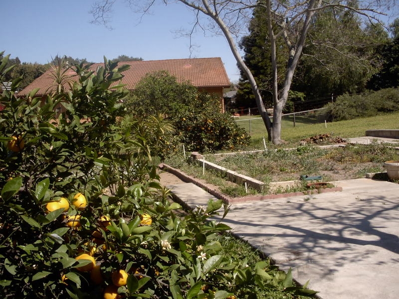 2023 East Mission Road Fallbrook, CA 92028 - Photo 10 of 14