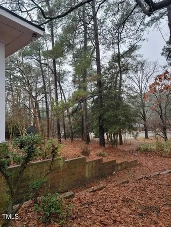 a view of road with trees