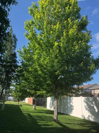 $419,900 | 4788 Clock Tower Lane, Fargo, ND 58104