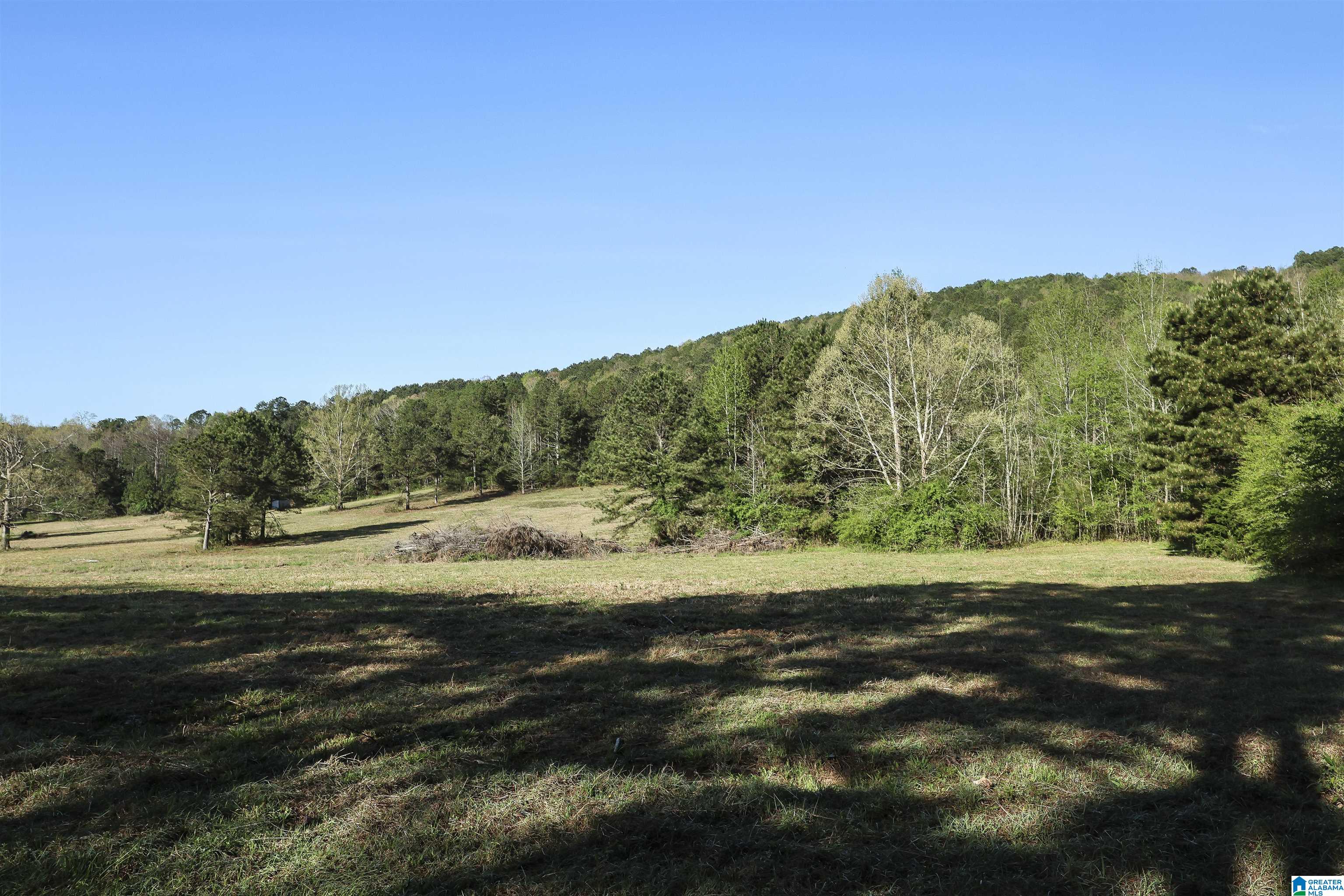 0 Stone Ridge Trail South, Unit 49 95 AC Anniston, AL 36207 - Photo 22 of 22