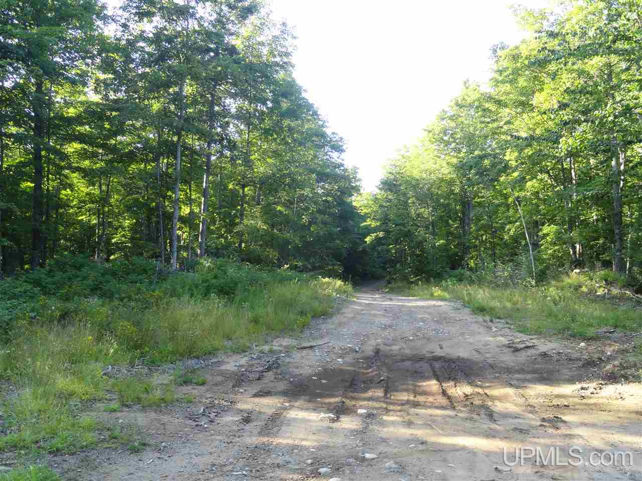 80 SOUTH Off Co Road Ishpeming, MI 49849 - Photo 10 of 20