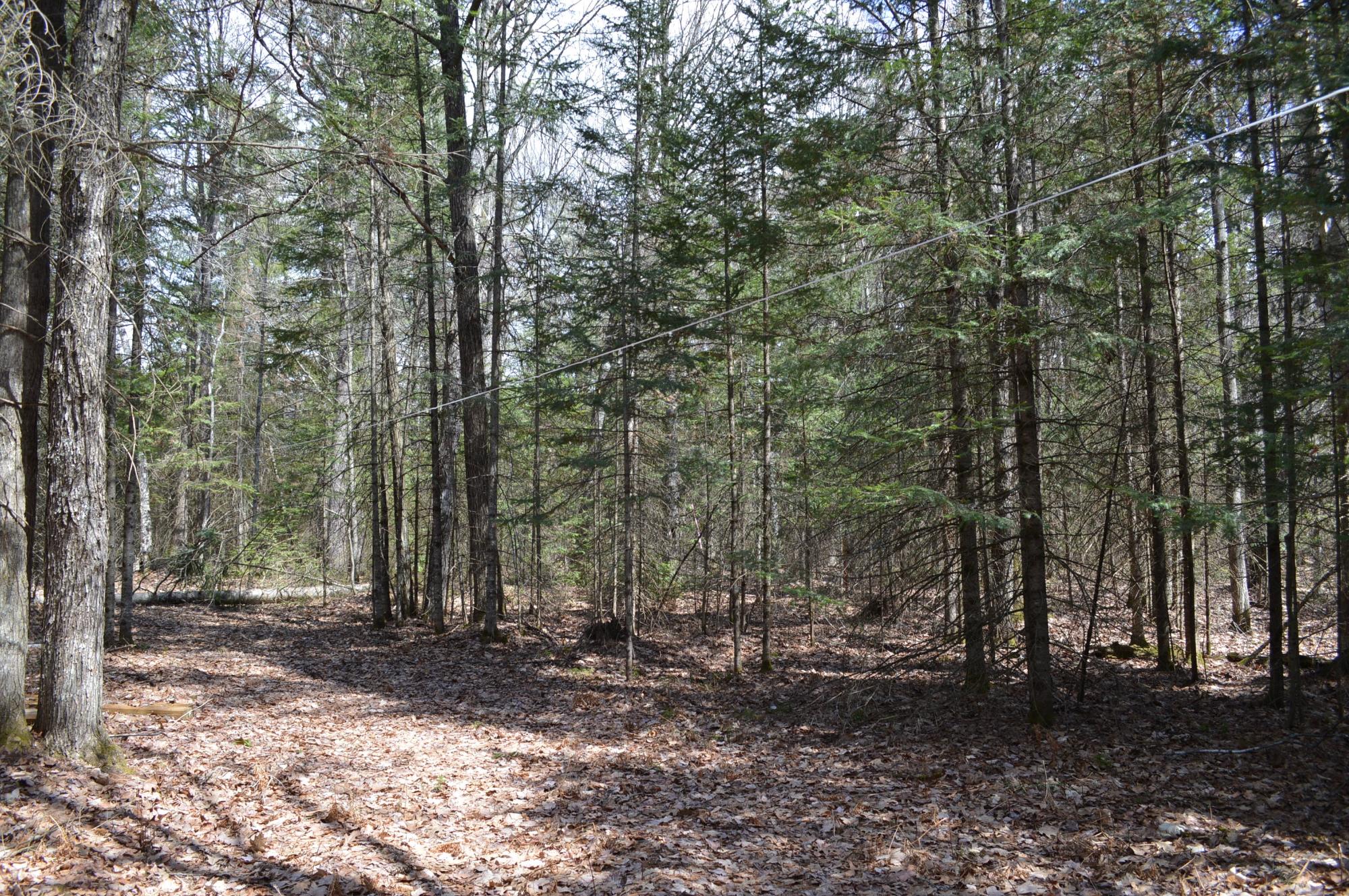 Lot 5 Columbus Road Conover, WI 54519 - Photo 7 of 14 Gallery Image 7