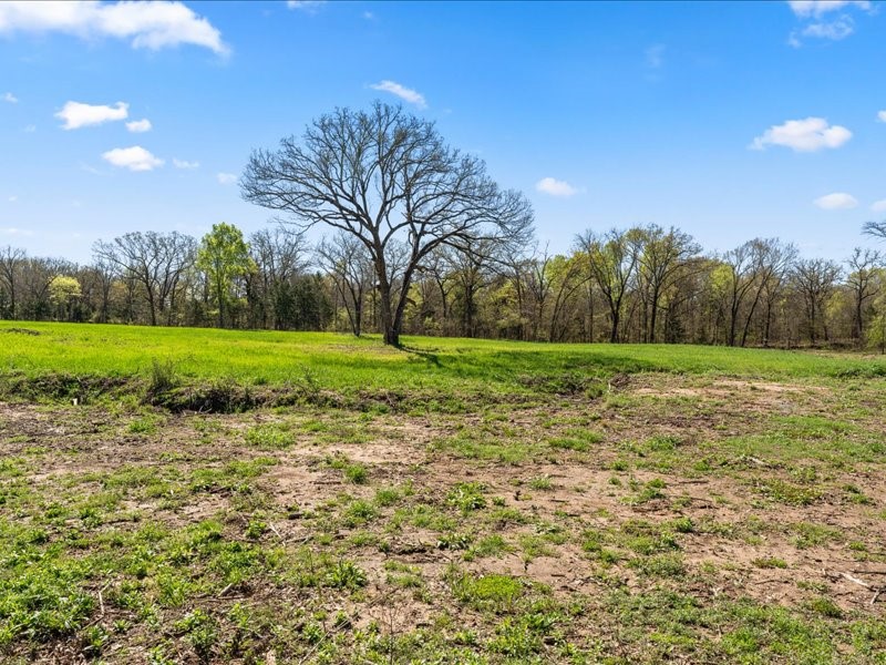 3115 Rains County Road 2610 Alba, TX 75410 - Photo 33 of 50