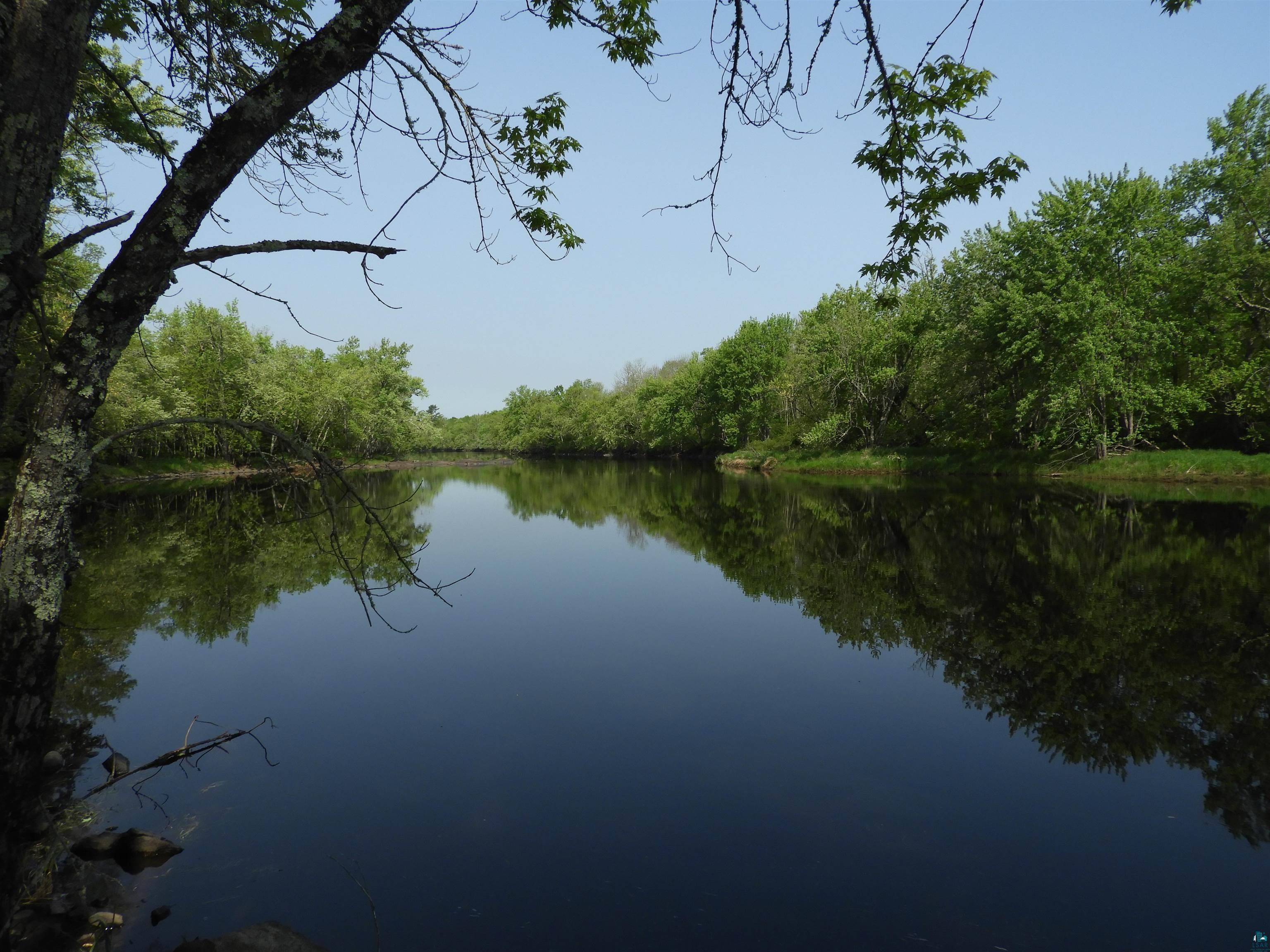 Water view with a forest