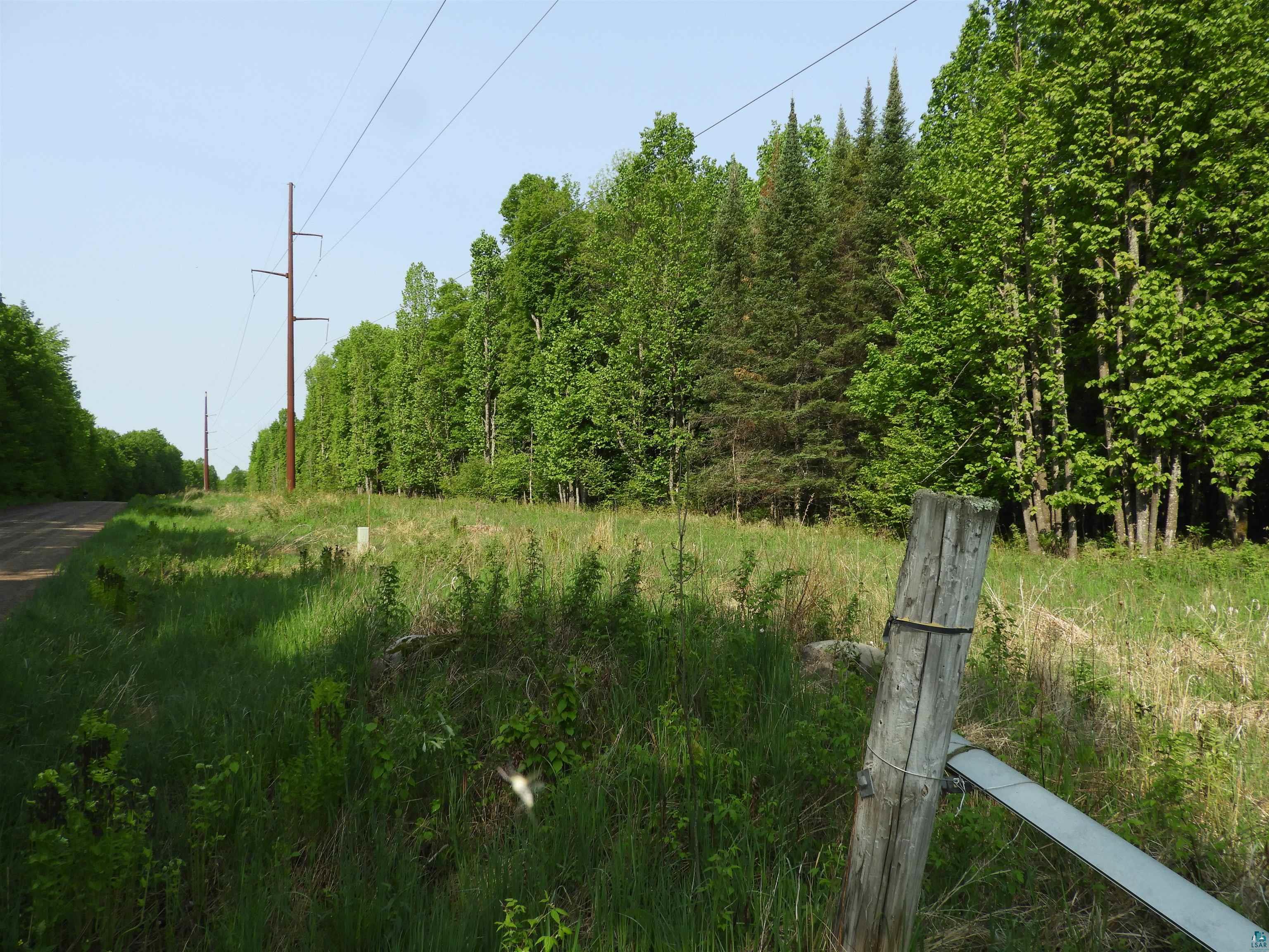 N8357 Down River Road Phillips, WI 54555 - Photo 4 of 4 View of yard