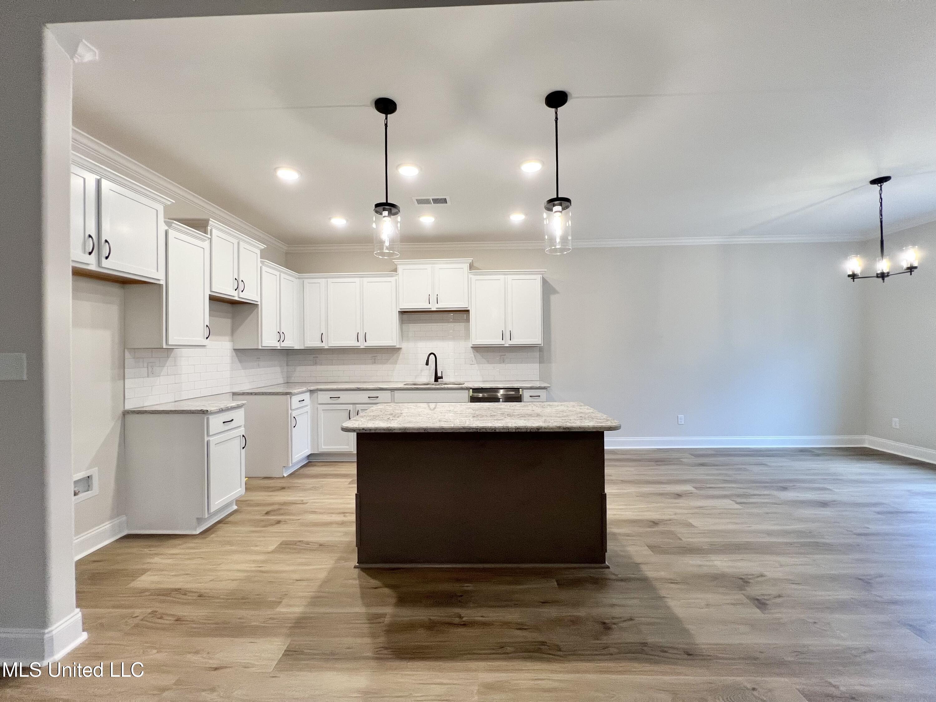 2466 Scott Mdws Lane Hernando, MS 38632 - Photo 11 of 25 IMG_5659