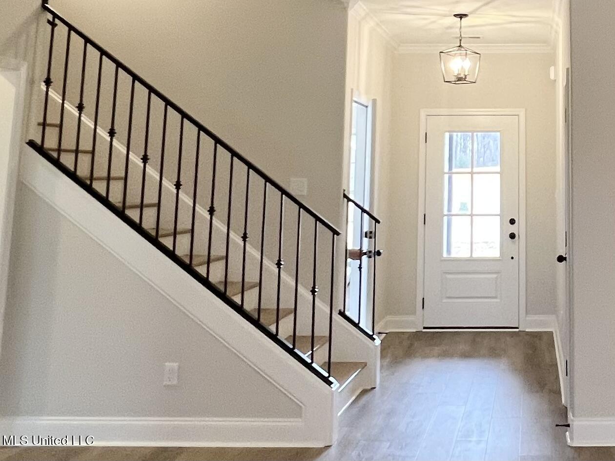 2466 Scott Mdws Lane Hernando, MS 38632 - Photo 5 of 25 IMG_5668