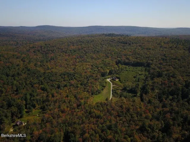 a view of a lush green outdoor space with a mountain in the background