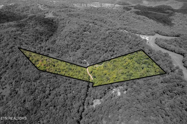 $165,000 | 21.03-ac Watts Hollow Road, Buffalo Valley, TN 38548